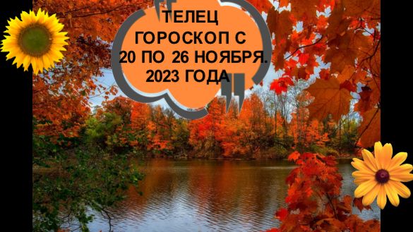ТЕЛЕЦ ТАРО-ПРОГНОЗ НА НЕДЕЛЮ С 20 ПО 26 НОЯБРЯ 2023 ГОДА