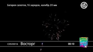 СХ920016 Восторг