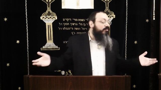 раввин Довид Фельдман гл Трума 5780 смотреть онлайн