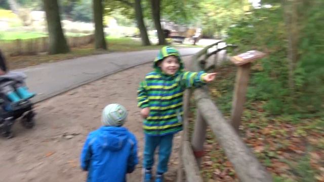 дети гуляют, зоопарк, германия, kids ZOO Germany смотреть онлайн