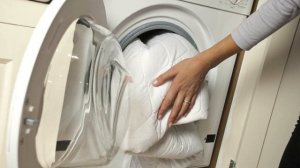 Где прячутся клопы в квартире и как выглядят домашние клопы?