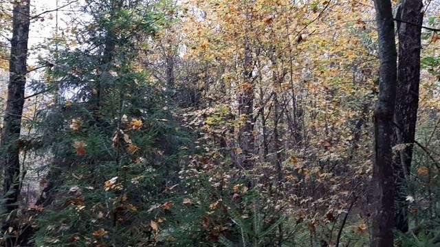 Дас ист Фамилия смотреть онлайн