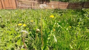 СДЕЛАЛИ КРАСИВЫЙ ЗАБОР! ЗАБОР ИЗ ДЕРЕВА! Живём в деревне.