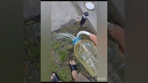 КАК СДЕЛАТЬ ЛЕЙКУ СВОИМИ РУКАМИ