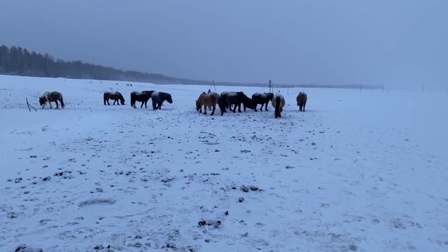 Рыбалка в Нюрбе смотреть онлайн