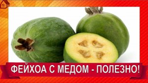 Так вкусно и полезно! Вкуснейшее ФЕЙХОА С МЕДОМ за 10 МИНУТ ПРОСТОЙ РЕЦЕПТ! / ЧЕМ ПОЛЕЗЕН ФЕЙХОА?