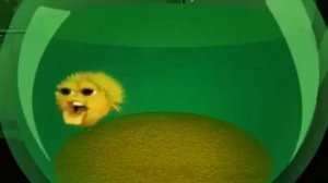 РЫБА ФУГУ ПОЁТ!?#мемы #рекомендации #рыбафугу