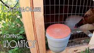 Разведение кроликов для начинающих.