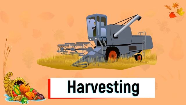 Autumn vocabulary for kids. Learn English words. Fall vocabulary words. смотреть онлайн