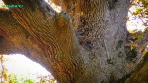 Навигатор Туапсинского района (Часть - 2)