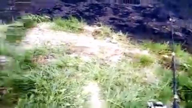 Как ловить карася на пробку - урок Профессора