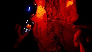 Ночная рыбалка:  Гроза всех палок дна. Чистим дно и попутно ловим рыбу руками