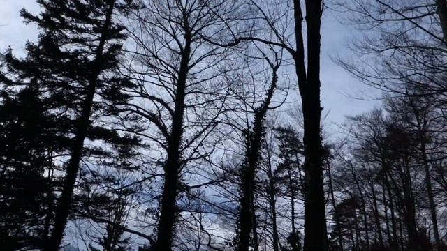 Бавария. Фён в действии смотреть онлайн