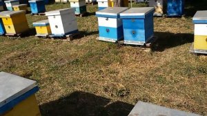 Вентиляция в многокорпусном руте.