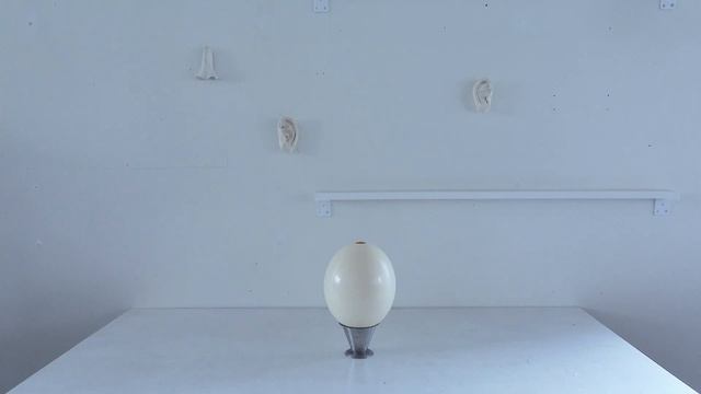 Today’s Flower 81 COSMOS, ANEMONE HUPEHENSIS, CLEMATIS by MAG BY LOUISE смотреть онлайн