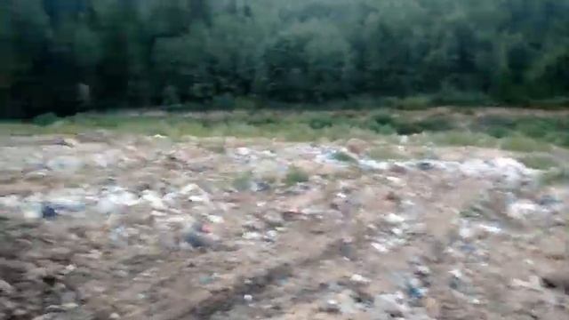 Как выглядит полигон Авто-Беркут на Мшинской. 06.08.2020