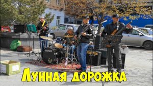 Уличные музыканты, Юрий Антонов - Лунная дорожка, Владивосток