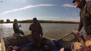Рыбалка в Астрахани.  Ловля судака. Село Караульное. Усадьба 12 месяцев.
