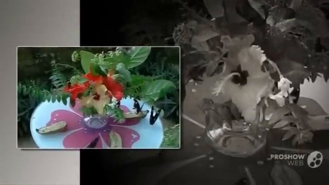 Отдых в таиланде отзывы смотреть онлайн