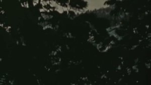 Boards Of Canada vs. Brakhage