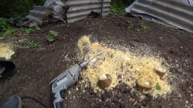 КАК УБРАТЬ ПЕНЬ НА УЧАСТКЕ ЗА 1 МИНУТУ.