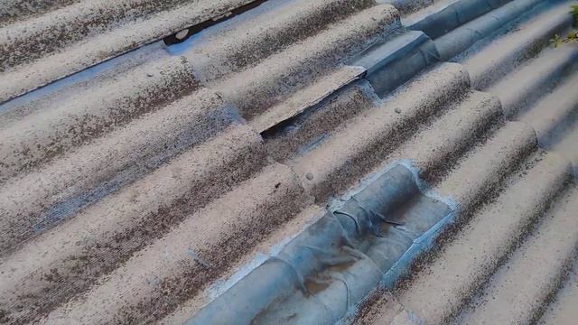 ❤️? Дача. Кампсис на крыше? смотреть онлайн