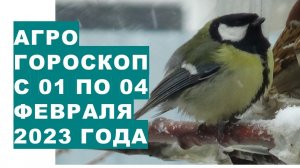 Агрогороскоп с 01 по 04 февраля 2023 года. Агрогороскоп з 01 по 04 лютого 2023 року