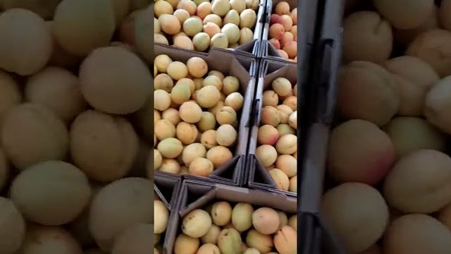 Абрикос Ананасный качество продукции