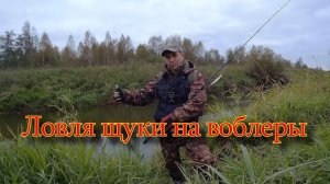 Ловля щуки на воблеры осенью. Река Дубна