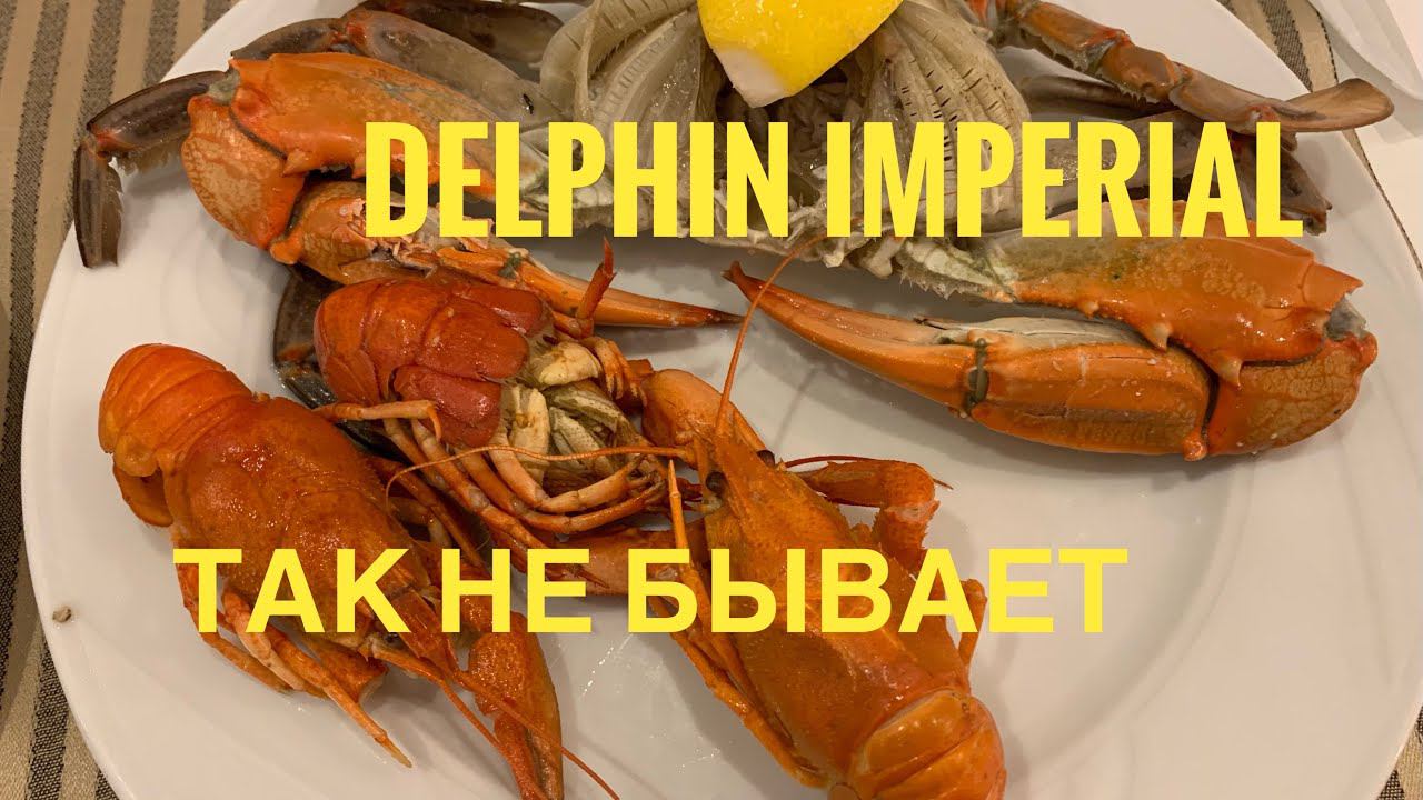 #29 В ШОКЕ от ШВЕДСКОГО СТОЛА-ТАК БЫВАЕТ? DELPHIN IMPERIAL 5* UAI УДИВЛЯЕТ ОПЯТЬ! ТУРЦИЯ 2021