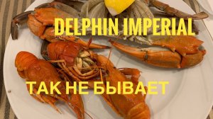 #29 В ШОКЕ от ШВЕДСКОГО СТОЛА-ТАК БЫВАЕТ? DELPHIN IMPERIAL 5* UAI УДИВЛЯЕТ ОПЯТЬ! ТУРЦИЯ 2021