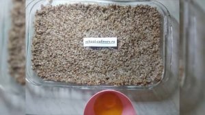 Гречневая запеканка а ля жульен - school-culinary.ru