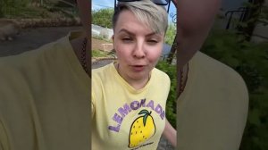 Кабачки на мангале. Мангал. Закуска к шашлыку