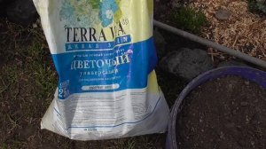 Что надо знать при посадке саженца с открытой корневой системой.  Мой проверенный способ!