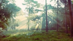 Остерегайтесь впасть в духовную прелесть(обман). Признаки нахождения человека в духовной прелести.