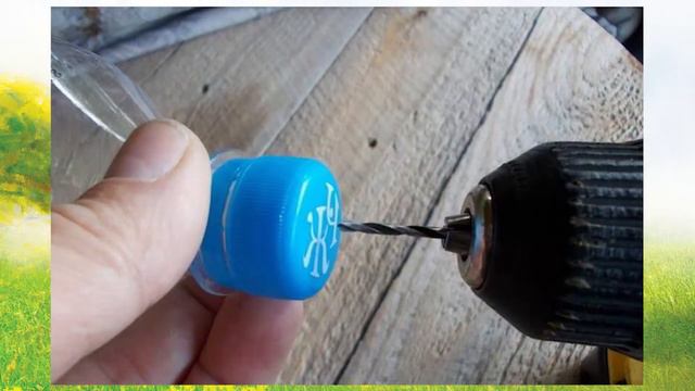 Сеем морковь легко. Сад. Огород. Садовод и огородник. смотреть онлайн