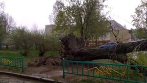 Последствия урагана 12.05.2022. Жуковка. Брянская область.