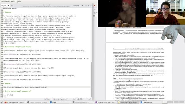 Лабораторная работа 10. Отчет. смотреть онлайн