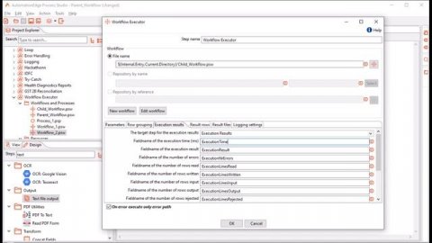 Workflow Executor and Process Executor