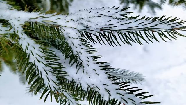 27 февраля.КИРИЛЛОВ ДЕНЬ. Весноуказчик.Народные приметы