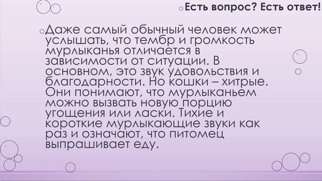 Почему кошки мурлыкают? [13]