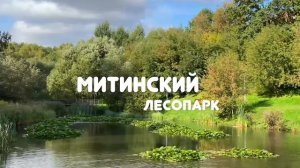 Обзор новостроек uHome: ЖК "Пятницкие Луга" от ГК Самолет