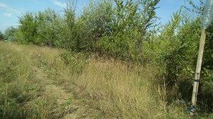 Мр 657 на 50 метров