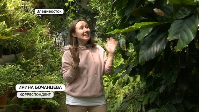 Растения-хищники, плоды монстеры и кофейные зерна: Ботсад удивляет гостей