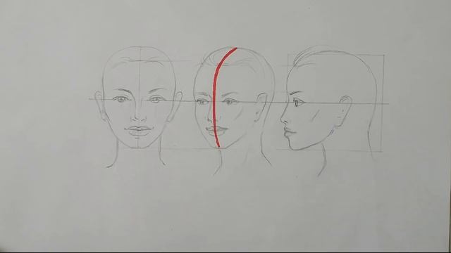 Как нарисовать портрет в повороте 3\4