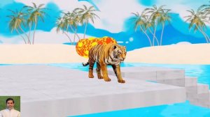Long Slide Game With Elephant Gorilla Buffalo Hippopotamus Tiger - 3d Animal Game - Funny 3d Animal