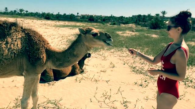Что мы делали на Djerba 2018!
