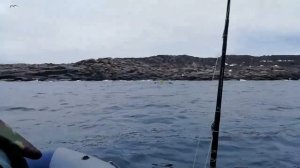 Териберка Баренцево море Рыбалка