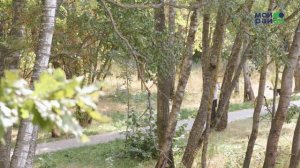 Новые парки Москвы