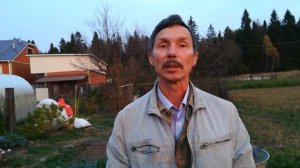 Результат поздней окулировки